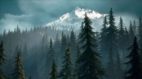 2_-5200005.webp 2_-5200005.webp