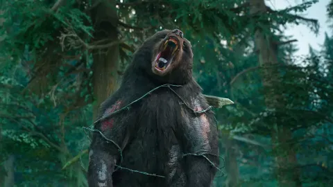 4_-5200005.webp 4_-5200005.webp