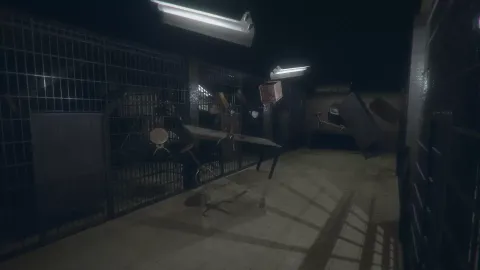 3_-5200279.webp 3_-5200279.webp