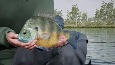 2_-5201005.webp 2_-5201005.webp