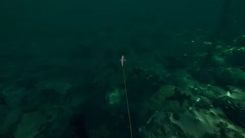 4_-5201433.webp 4_-5201433.webp