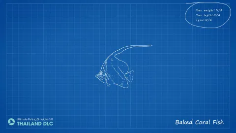 5_-5201435.webp 5_-5201435.webp