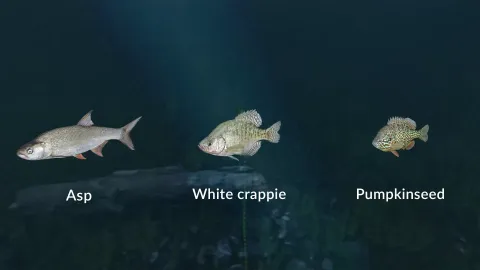 5_-5201440.webp 5_-5201440.webp