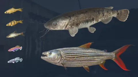 5_-5201441.webp 5_-5201441.webp