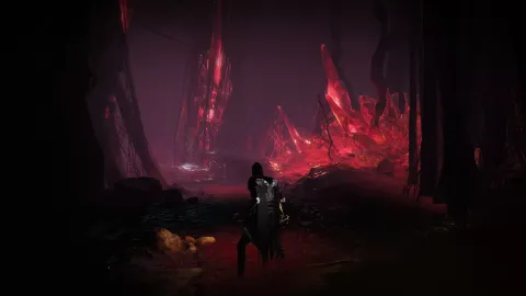 2_-5202451.webp 2_-5202451.webp