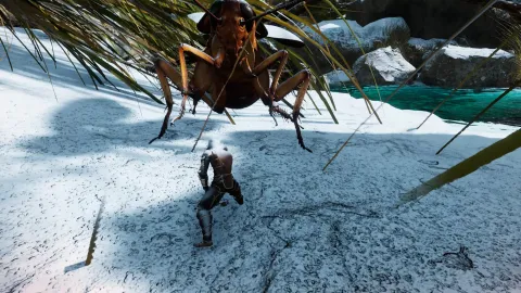 5_-5204065.webp 5_-5204065.webp