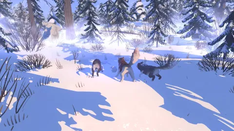 5_-5204125.webp 5_-5204125.webp