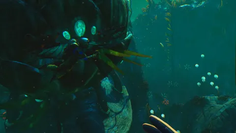 3_-5204245.webp 3_-5204245.webp